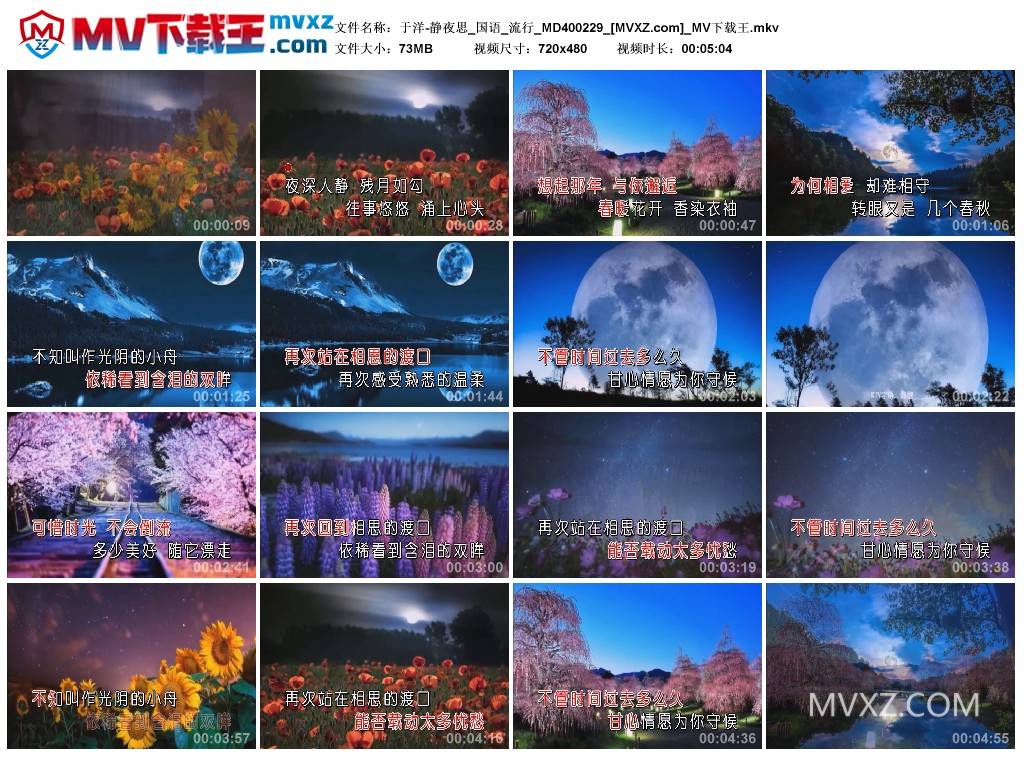 于洋-静夜思_国语_流行_MD400229